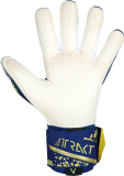 Reusch Attrakt Gold X GluePrint 5470974 4410 blue orange gold back